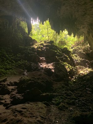 Parque Nacional de las Cavernas del Río Camuy by null