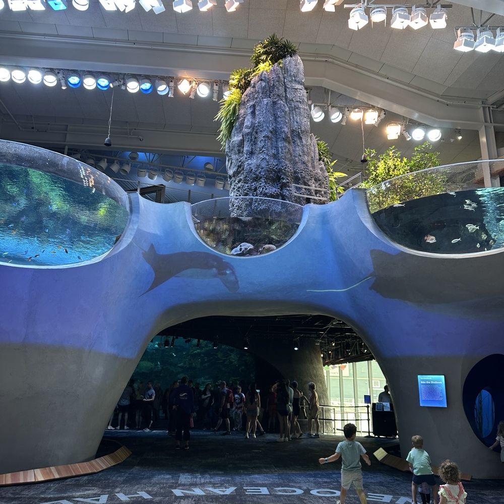 Seattle Aquarium - Aquariums Near Me - Seattle, Washington Seattle Aquarium - Aquariums Near Me - Seattle, Washington