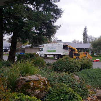 Happy Growing Landscaping - They came out in a storm and everything to get the job done! - Tree Services Near Me - Clovis, California Happy Growing Landscaping - They came out in a storm and everything to get the job done! - Tree Services Near Me - Clovis, California