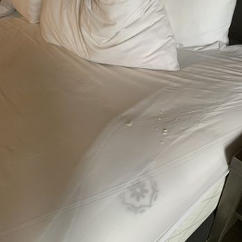 Boston Marriott Cambridge - Hotels Near Me - Cambridge, Massachusetts