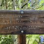 Photo of Buchanan Pass Trail