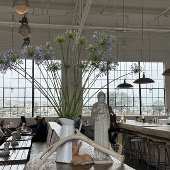 Radhaus - Beautiful flowers that always shows people care about their space! Creates warmth and comfort - German Near Me - San Francisco, California Radhaus - Beautiful flowers that always shows people care about their space! Creates warmth and comfort - German Near Me - San Francisco, California