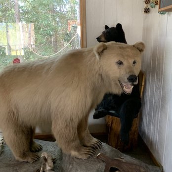 Long Rifle Lodge - Stuffed Bear - Desserts Near Me - Glacier View, Alaska Long Rifle Lodge - Stuffed Bear - Desserts Near Me - Glacier View, Alaska