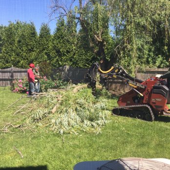 Appalachian Tree Service - Getting started! Great entertainment for my 3 yr old too. - Tree Services Near Me