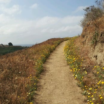Arroyo Verde Park - Loop trails with views, flowers, birds - Hiking Near Me - Ventura, California Arroyo Verde Park - Loop trails with views, flowers, birds - Hiking Near Me - Ventura, California