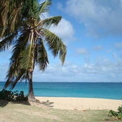 Sunny Vacations - Photo taken by our client.