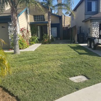 Landscape Pro Services - Landscaping Near Me Landscape Pro Services - Landscaping Near Me