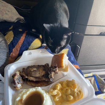 Petro Gas & Stopping Center - My Kitty thinks she's going to eat a Pork Chop as well - Gas Stations Near Me - Lebec, California