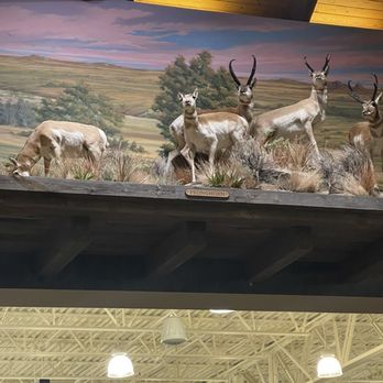 Cabela's - Wildlife - Hunting & Fishing Supplies Near Me - Henrico, Virginia