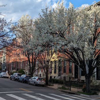 CookHouse - Why wouldn't you want to come to this charming neighborhood! - New American Near Me - Baltimore, Maryland