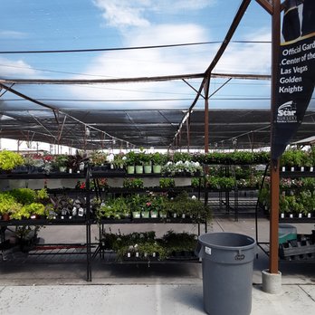 Star Nursery - Nurseries & Gardening Near Me - Las Vegas, Nevada Star Nursery - Nurseries & Gardening Near Me - Las Vegas, Nevada