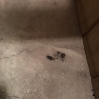 LA Fitness - Somebody's weave in the sauna... GROSS - Gyms Near Me - Chicago, Illinois LA Fitness - Somebody's weave in the sauna... GROSS - Gyms Near Me - Chicago, Illinois