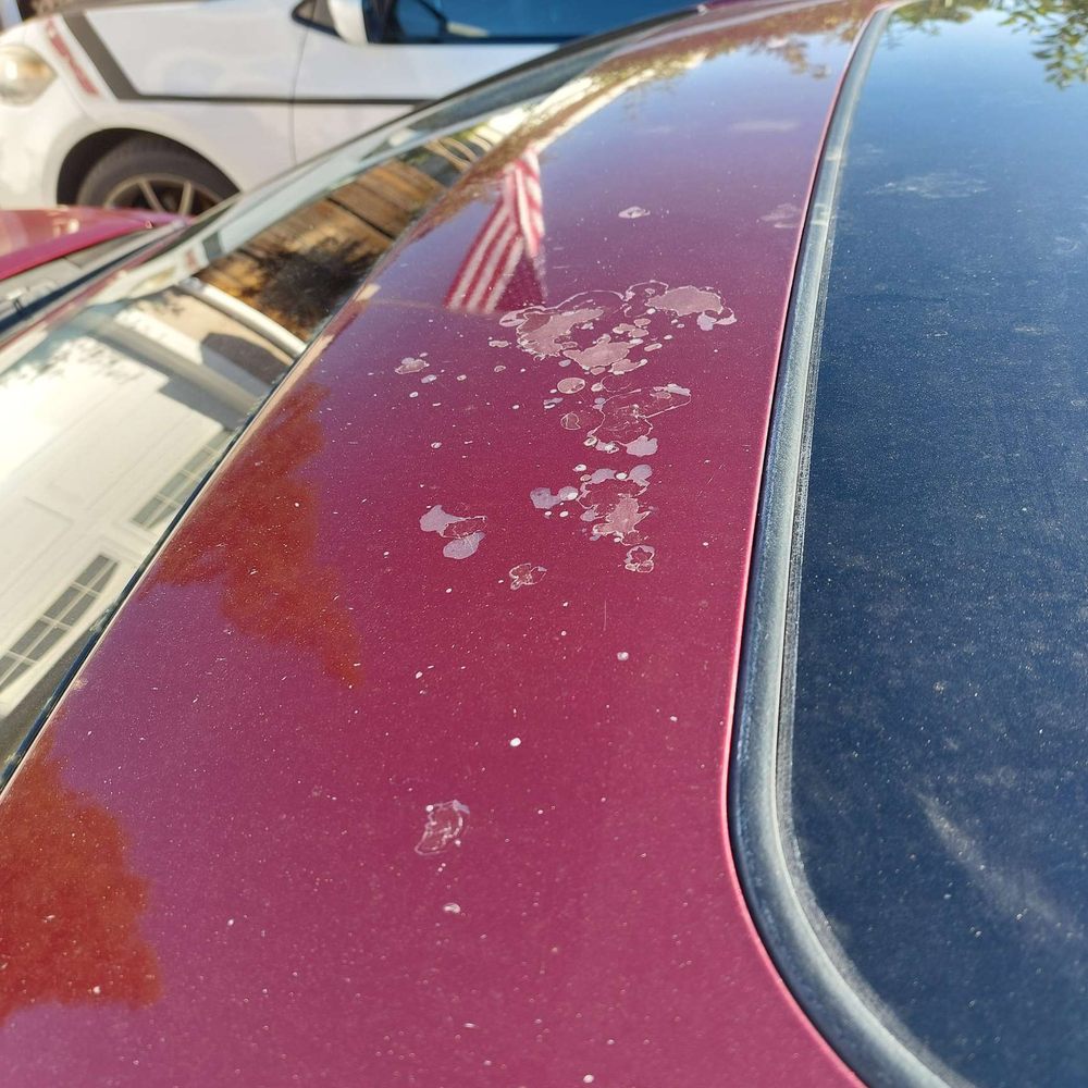 Finish Line Collision - Camry Before 1 - Body Shops Near Me - San Jose, California