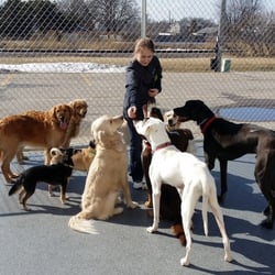 Mighty Pet - Join us for fun in our Doggie DayCamp!