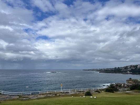 Coogee Beach by null