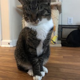Toby