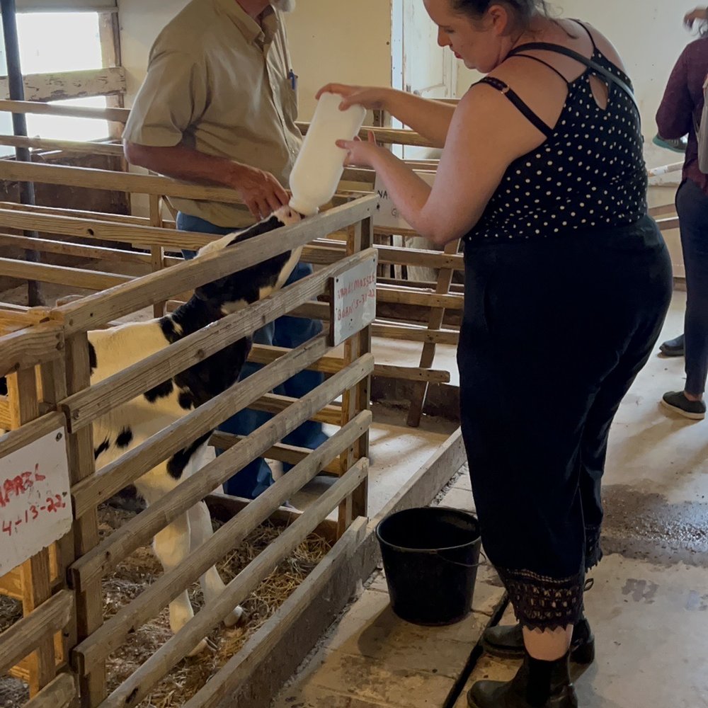 We got to feed the darling baby calf fresh milk- sooooo adorable!! We got to feed the darling baby calf fresh milk- sooooo adorable!!