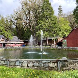 Sierra Pines Resort - The trout pond by the restaurant (05/2025)