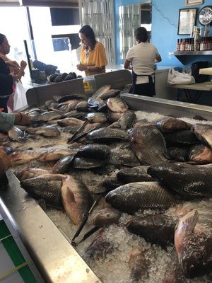 Pescaderia Ensenada by null