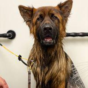 Pure Pet - Pet Stores Near Me - Carbondale, Illinois Pure Pet - Pet Stores Near Me - Carbondale, Illinois