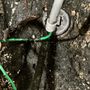 Photo of Universal Sewer and Drain