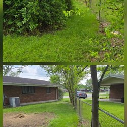 Mulberry Tree Service