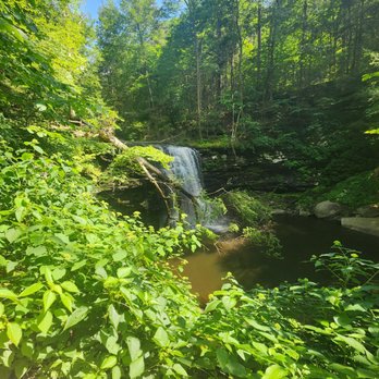 Ricketts Glen State Park - Parks Near Me - Benton, Pennsylvania