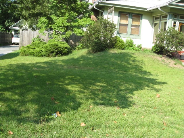 Slide of Rapid Rooter