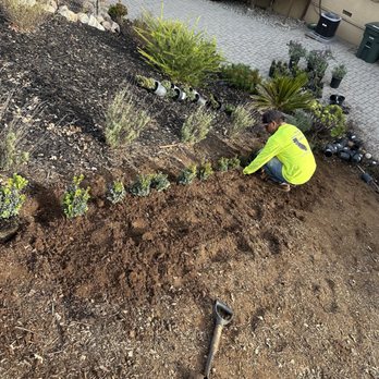 Premium Landscape Construction  - Planting - Landscaping Near Me