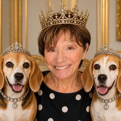 Critter Care - Royal Beagles with EQ (evil or exceptional Queen depending upon circumstance)