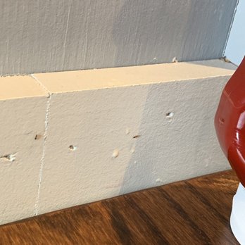 First Watch - Ants at my table.... - Breakfast & Brunch Near Me - Murrysville, Pennsylvania