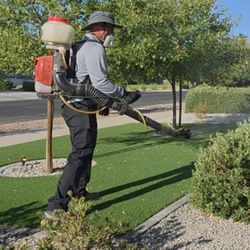 Ozone Pest Control - Mosquito spraying