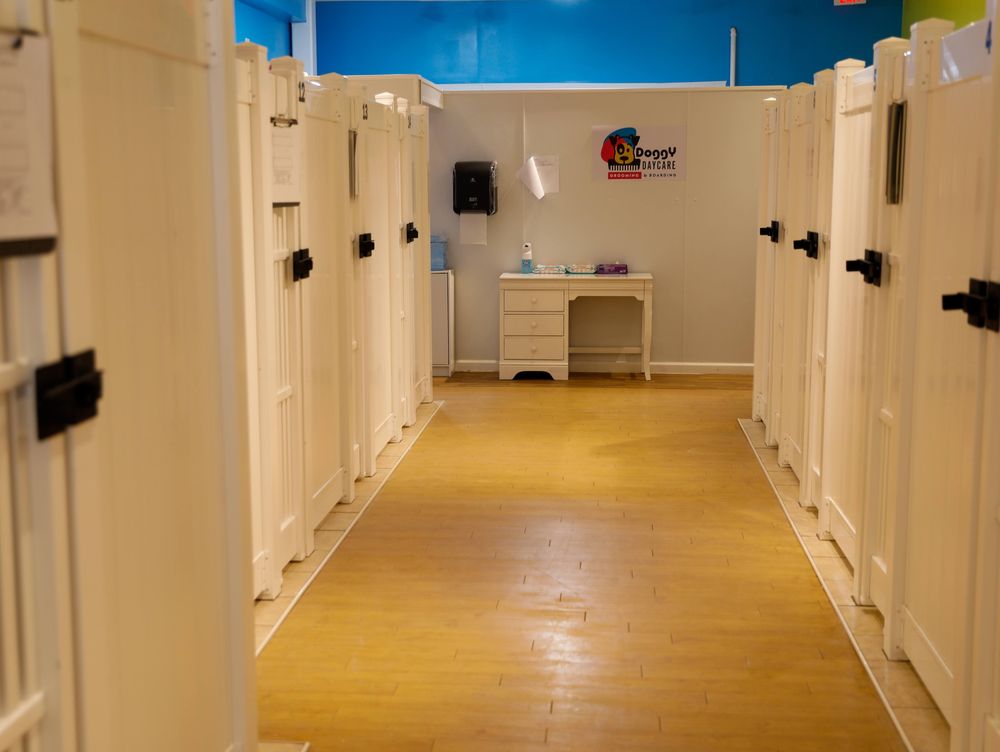 DOGGY DAYCARE GROOMING &BOARDING 25 Photos 3861 US9, Old Bridge