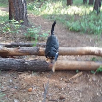 Horton Creek Trail - Zeus - Hiking Near Me