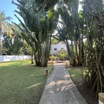 Frente al Punto - Beach Bars Near Me - Sayulita, NAY
