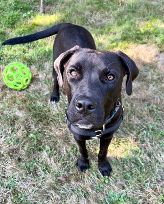 One Tail at a Time - PDX by null