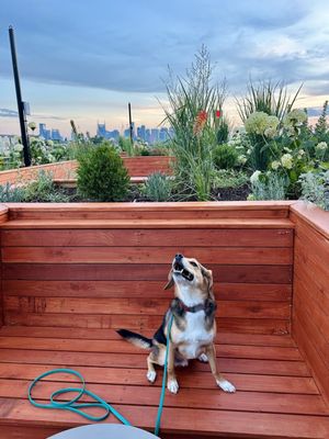 Waymore's Guest House & Casual Club by null