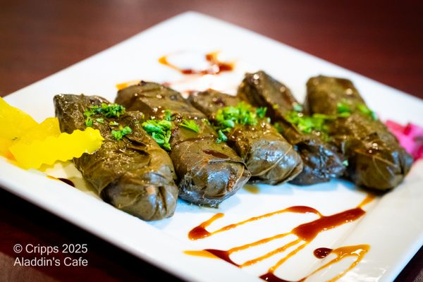 Aladdin's Café Restaurant & Catering by null
