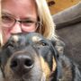 Photo of 3 Cats & A Dog Pet Sitting