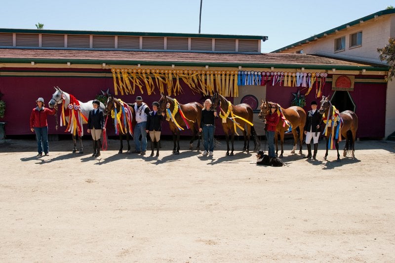 RANCHO BORREGO MONTANA Updated September 2024 San Marcos