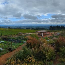 cool views from an elevated buliding