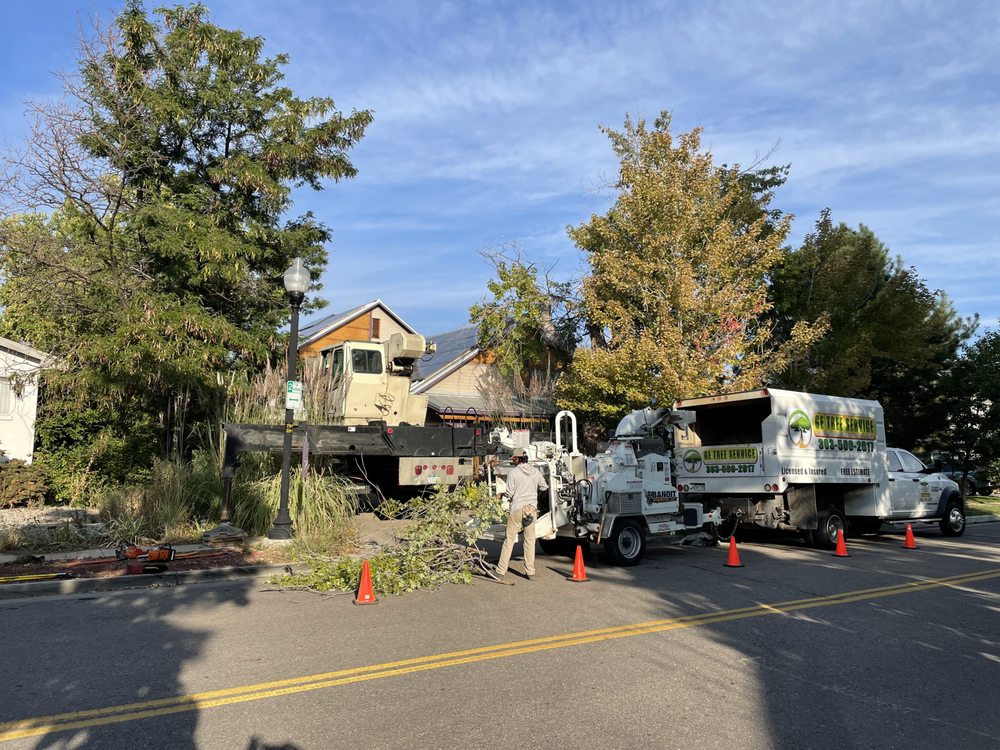 GE Tree Service - tree service in Englewood, CO