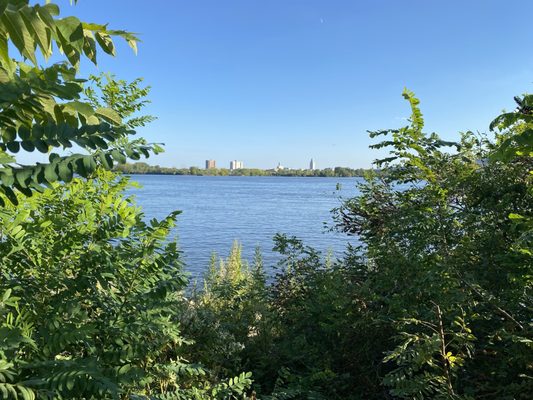Penn Treaty Park by null