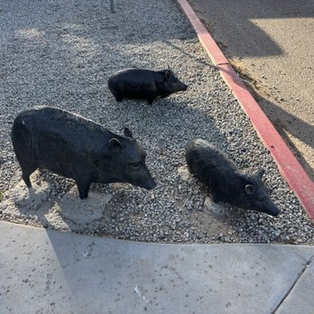 Dillon's - Javelins family - Barbeque Near Me - Litchfield Park, Arizona