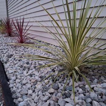 MC Landscaping - Planting - Gardeners Near Me MC Landscaping - Planting - Gardeners Near Me