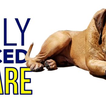 Truly Balanced Dog Care - Pet Boarding Near Me - Kingston, New Hampshire Truly Balanced Dog Care - Pet Boarding Near Me - Kingston, New Hampshire