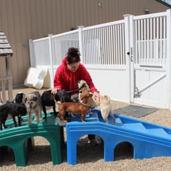 Camp Bow Wow Portland