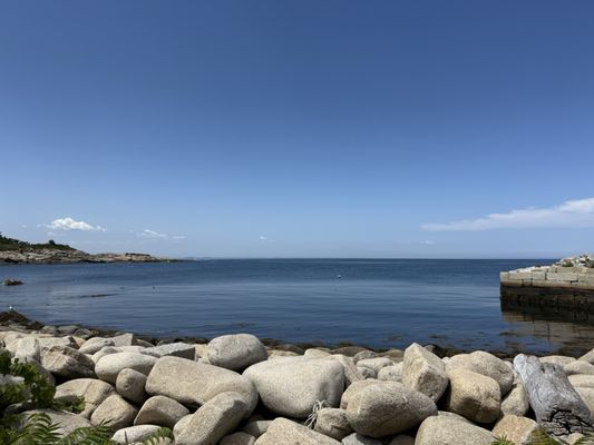 The Lobster Pool by null