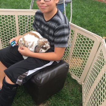 One Stop Lop - Pet Adoption Near Me One Stop Lop - Pet Adoption Near Me