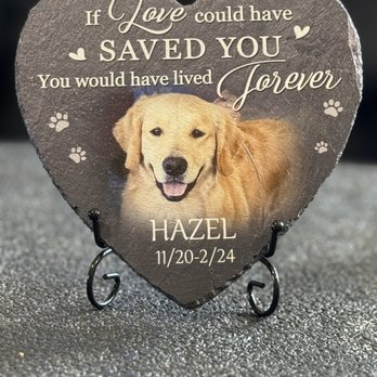 SoCal Veterinary Hospital - Veterinarians Near Me - San Marcos, California SoCal Veterinary Hospital - Veterinarians Near Me - San Marcos, California